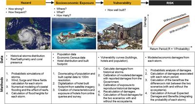 The Risk Reduction Benefits of the Mesoamerican Reef in Mexico